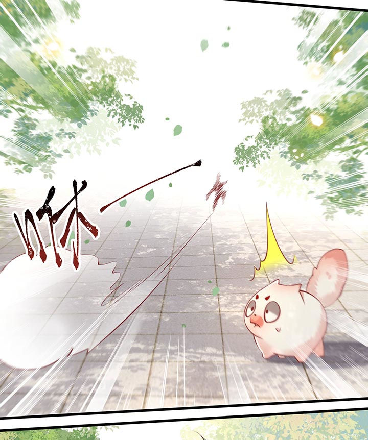 这个王妃有点皮小说漫画,第81章：暗杀情敌？2图