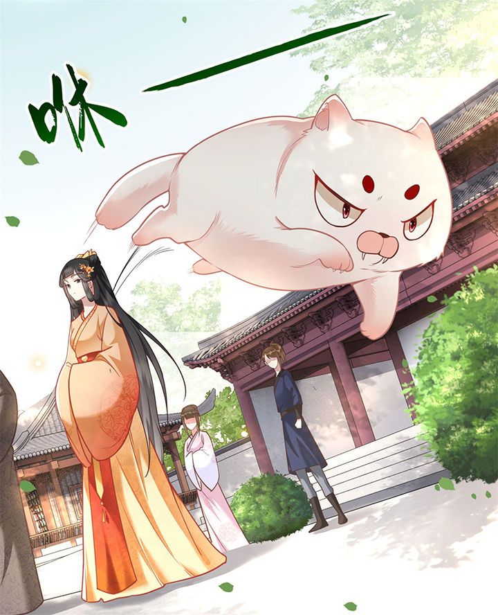 这个王妃有点皮小说漫画,第12章：世人皆爱美1图
