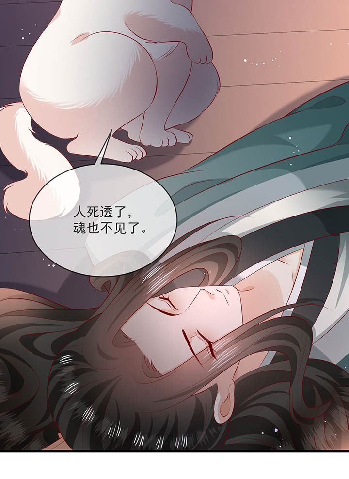 这个王妃有点皮小说漫画,第167章：大型精分现场1图