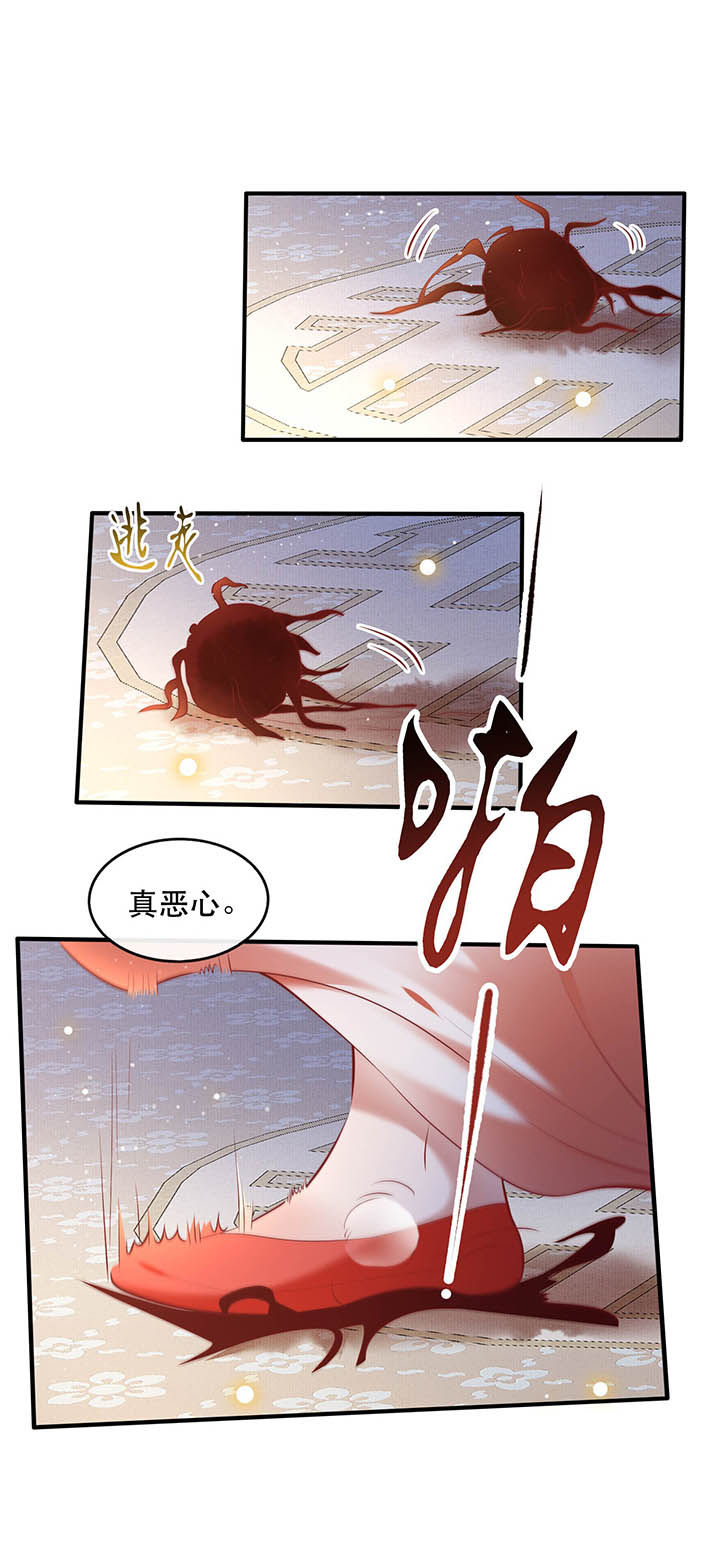 这个王妃有点皮小说漫画,第62章：不自量力的蠢货1图