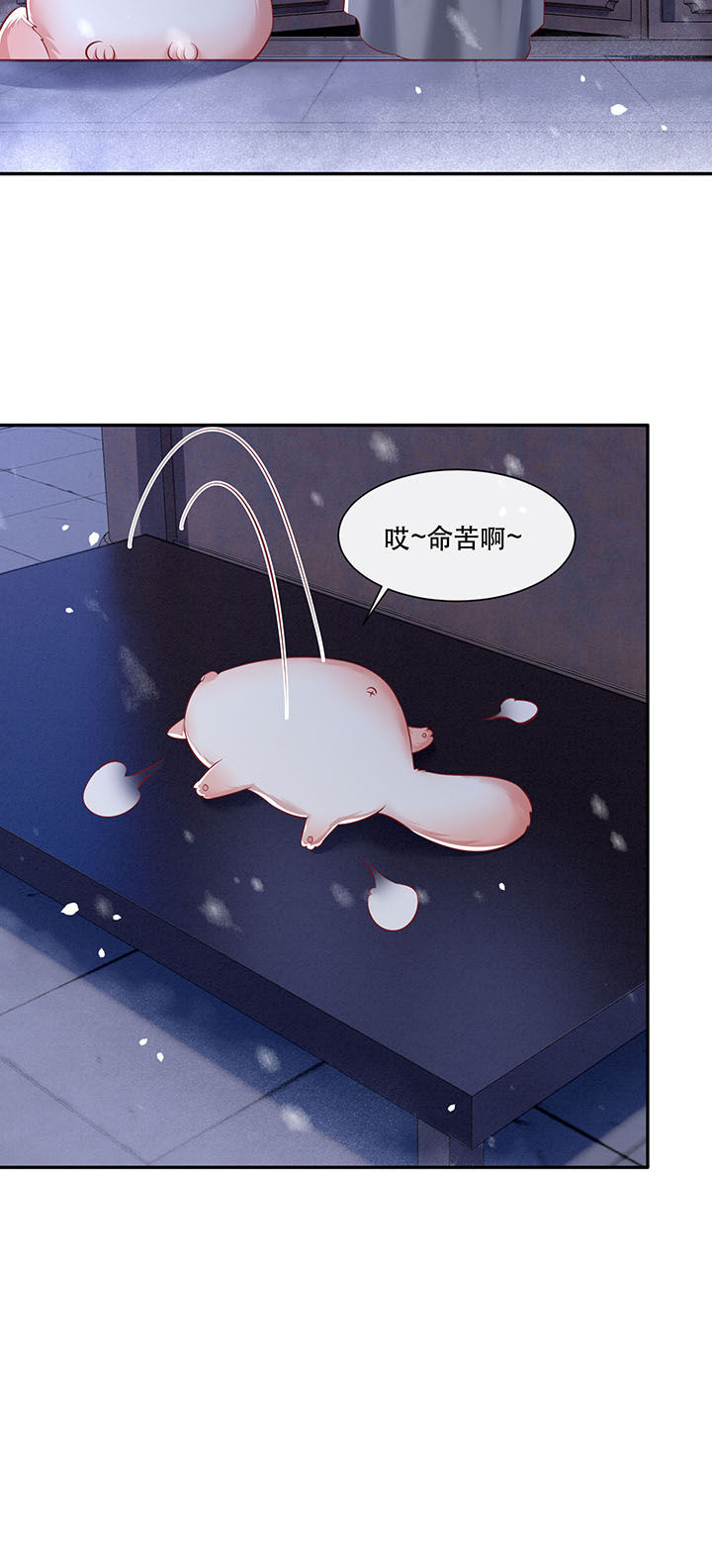 这个王妃有点皮小说漫画,第126章：求个婚告昭六界？！1图
