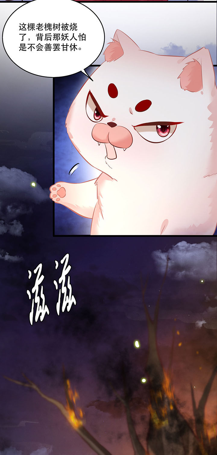 这个王妃有点皮小说漫画,第20章：逼本座翻脸是吧！1图