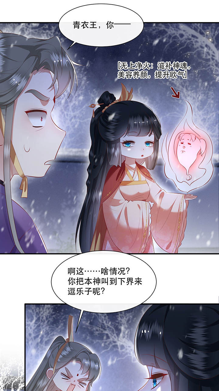 这个王妃有点皮小说漫画,第119章：好一个北阴啊！1图