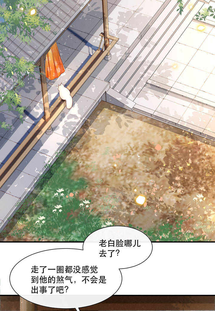 这个王妃有点皮小说漫画,第104章：公主殿下在找我？1图