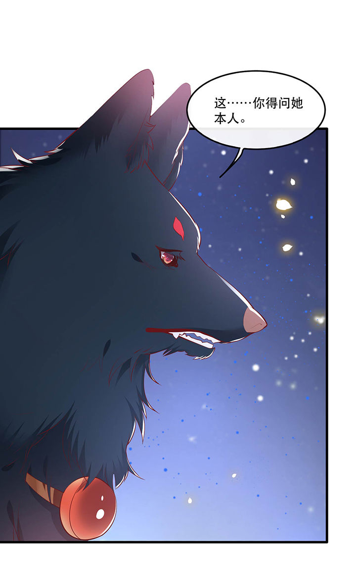 这个王妃有点皮小说漫画,第69章：老娘非北阴不嫁2图