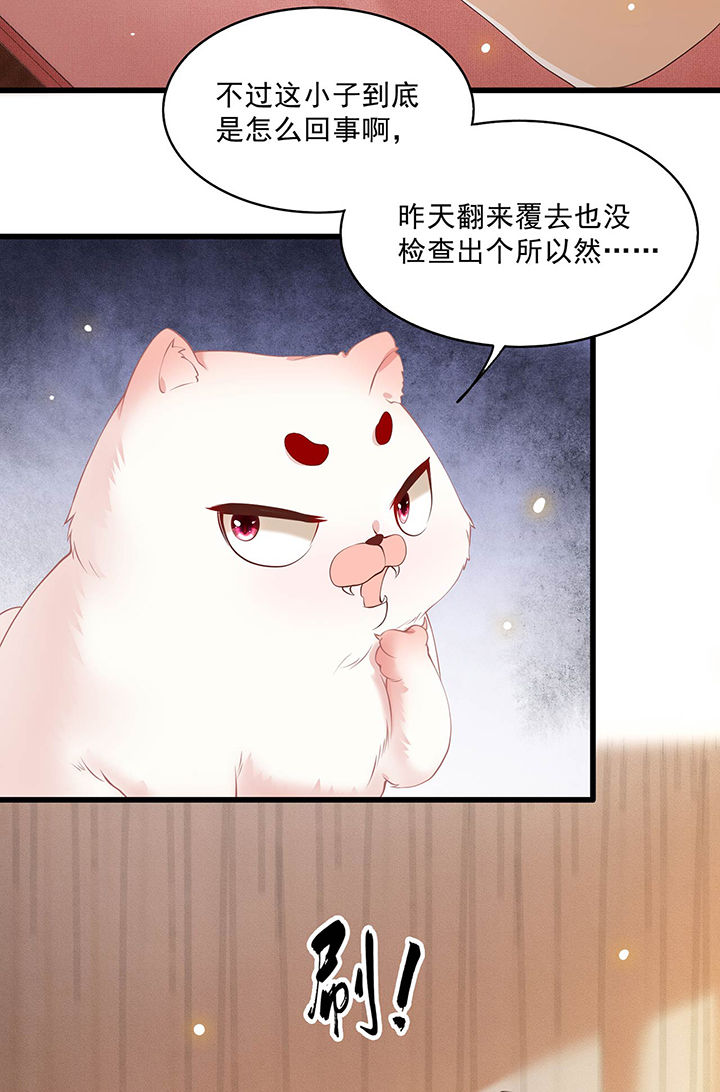 这个王妃有点皮小说漫画,第25章：不听话的女人是什么下场1图