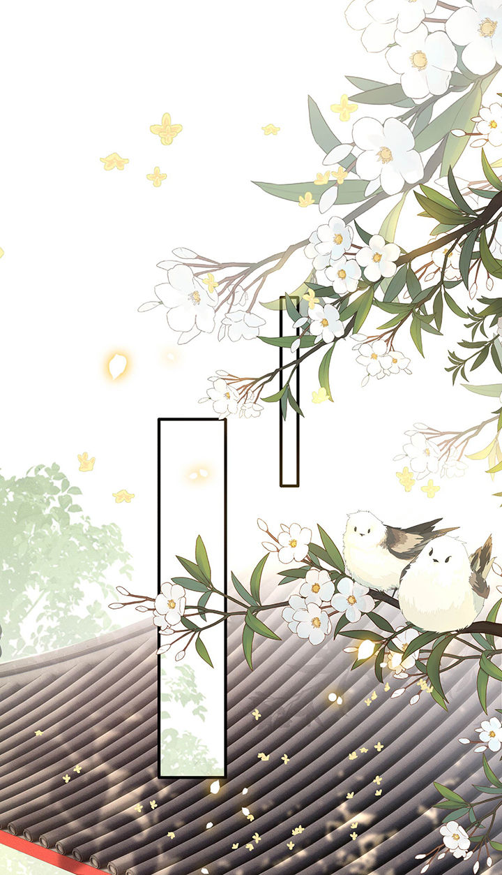 这个王妃有点皮小说漫画,第51章：这才一晚，就喜当娘了？1图