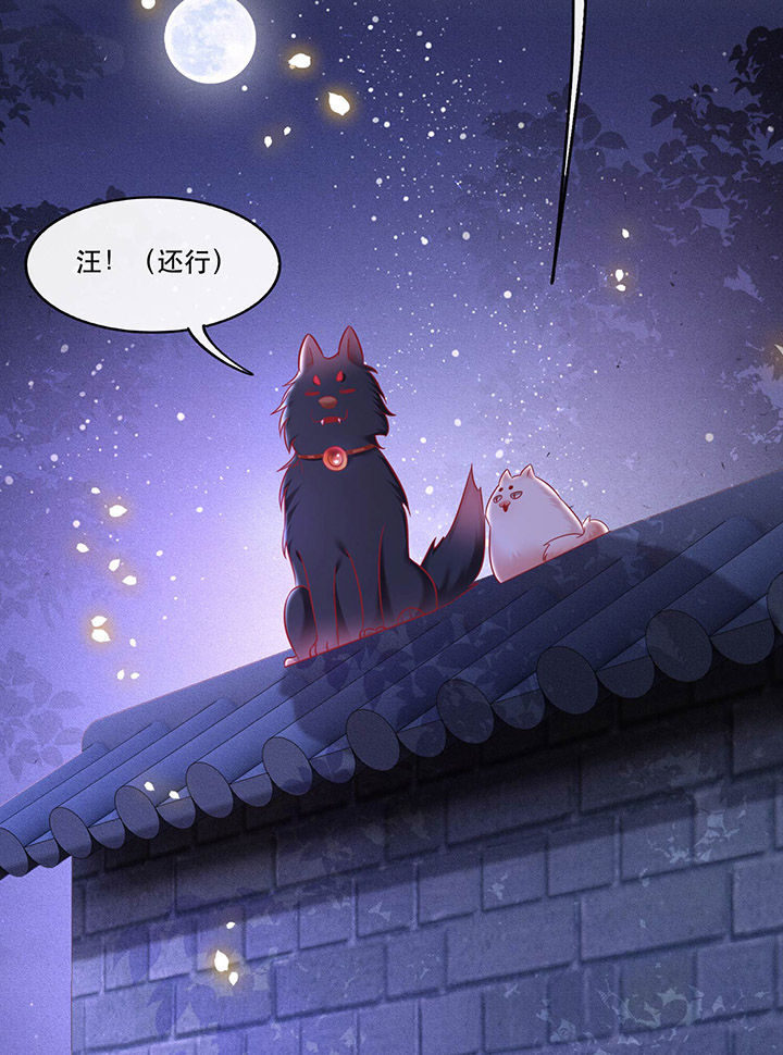 这个王妃有点皮小说漫画,第59章：是时候，该收网了1图