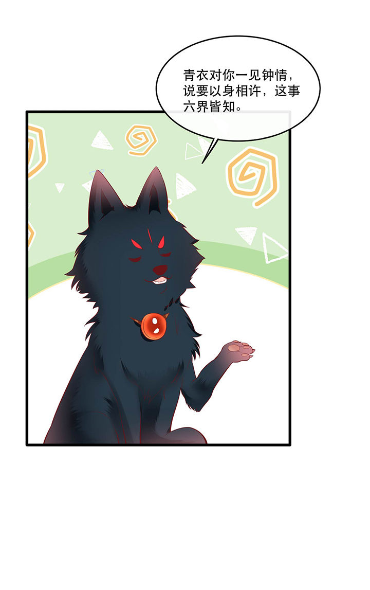这个王妃有点皮小说漫画,第69章：老娘非北阴不嫁2图