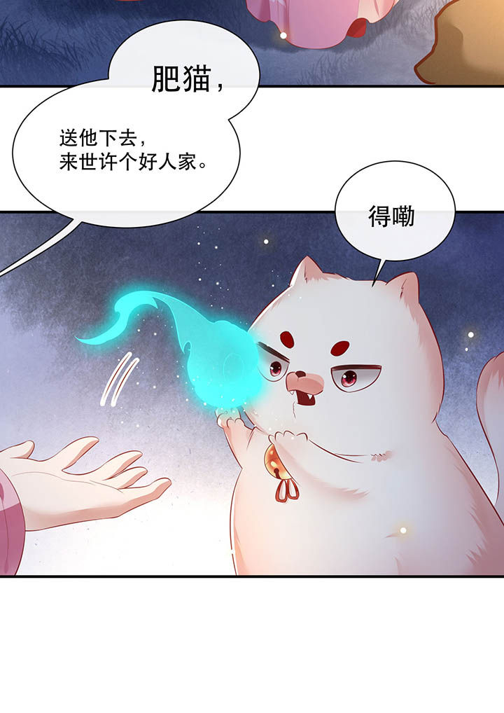这个王妃有点皮小说漫画,第108章：东宫出事了！1图