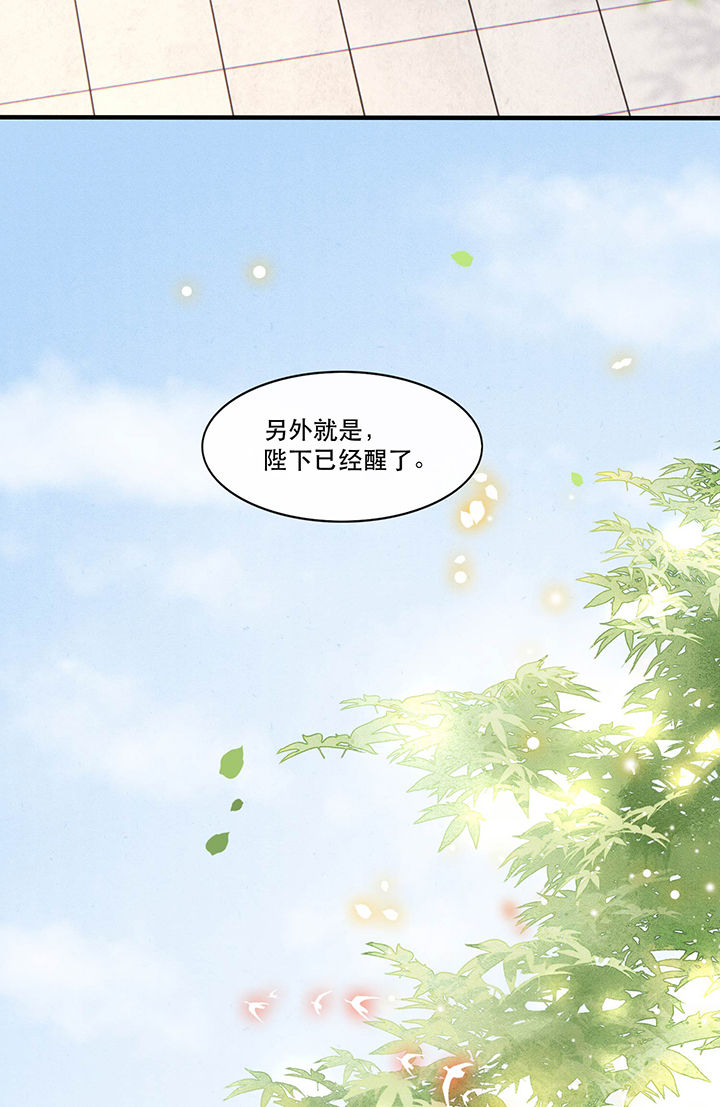 这个王妃有点皮小说漫画,第48章：这桩婚事，你如何考虑？1图
