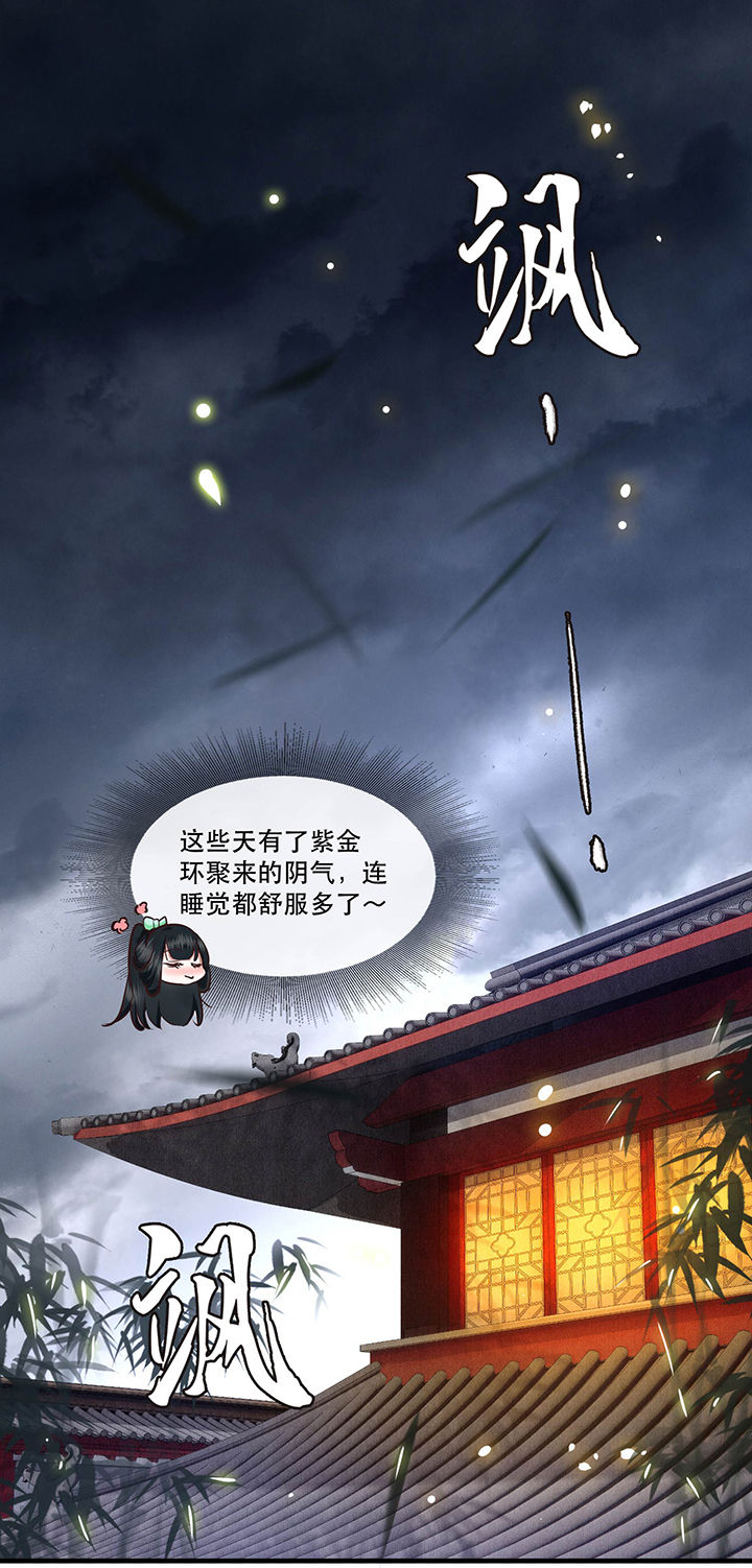 这个王妃有点皮小说漫画,第53章：放你出去，一日放纵1图