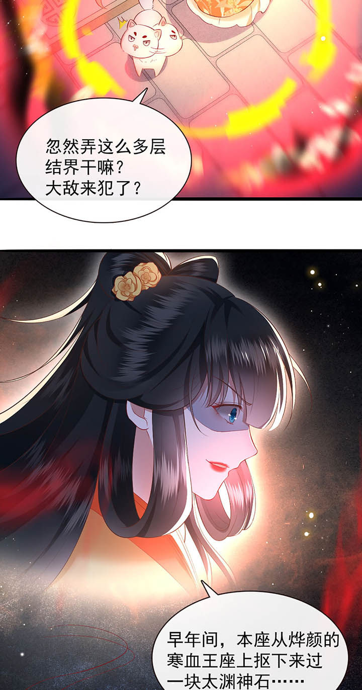 这个王妃有点皮小说漫画,第117章：要不干脆坦白从宽？2图