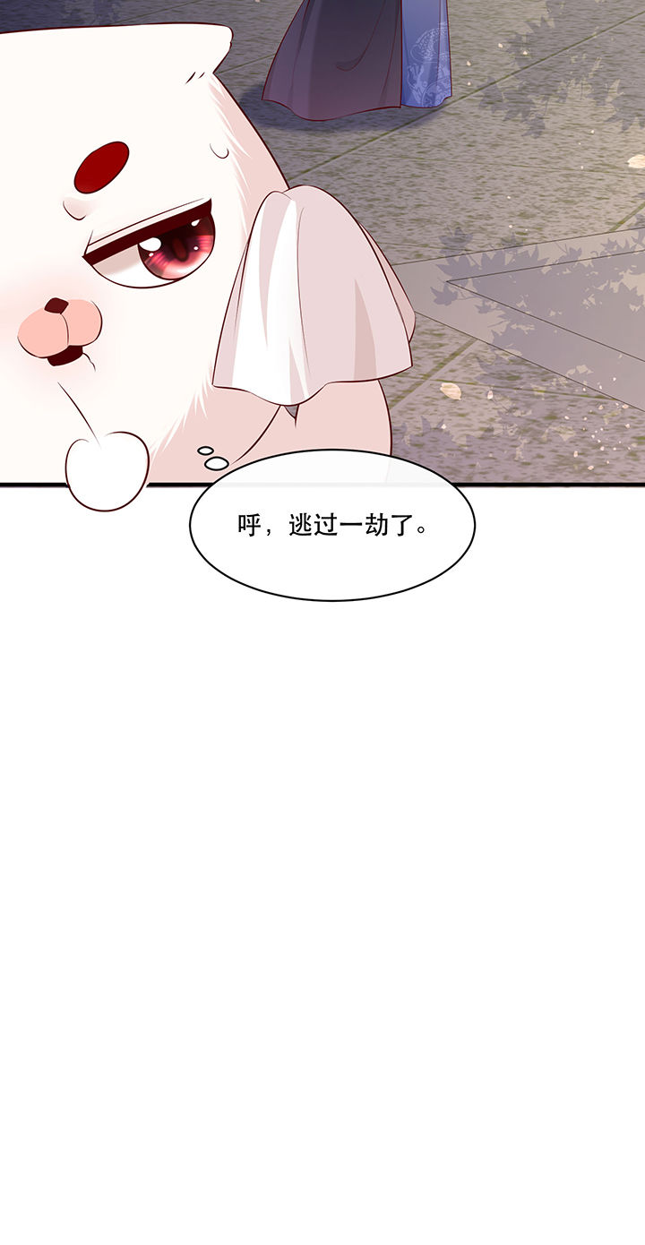 这个王妃有点皮小说漫画,第178章：【番外】暑期特别篇1图