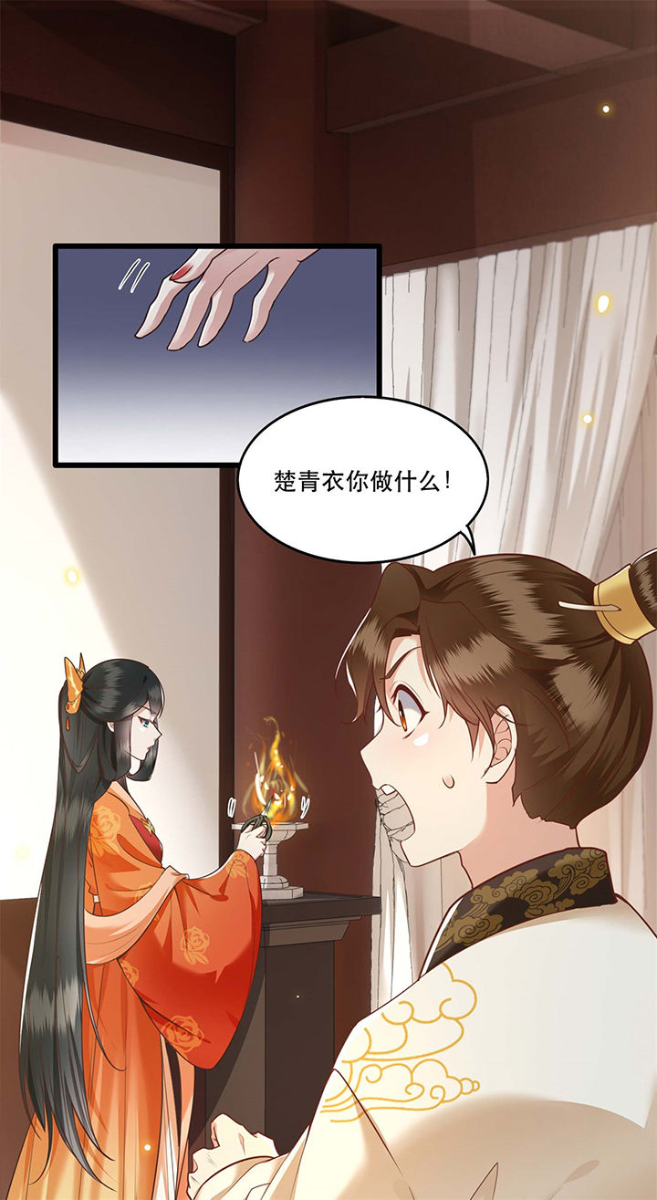 这个王妃有点皮小说漫画,第18章：去请教你的狗头军师1图