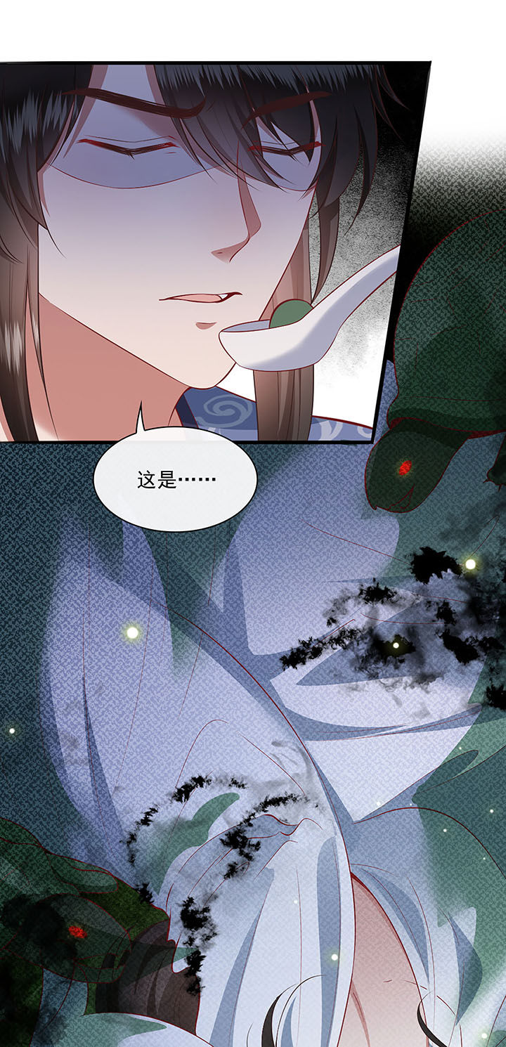 这个王妃有点皮小说漫画,第123章：本公主给你做老鳖汤1图