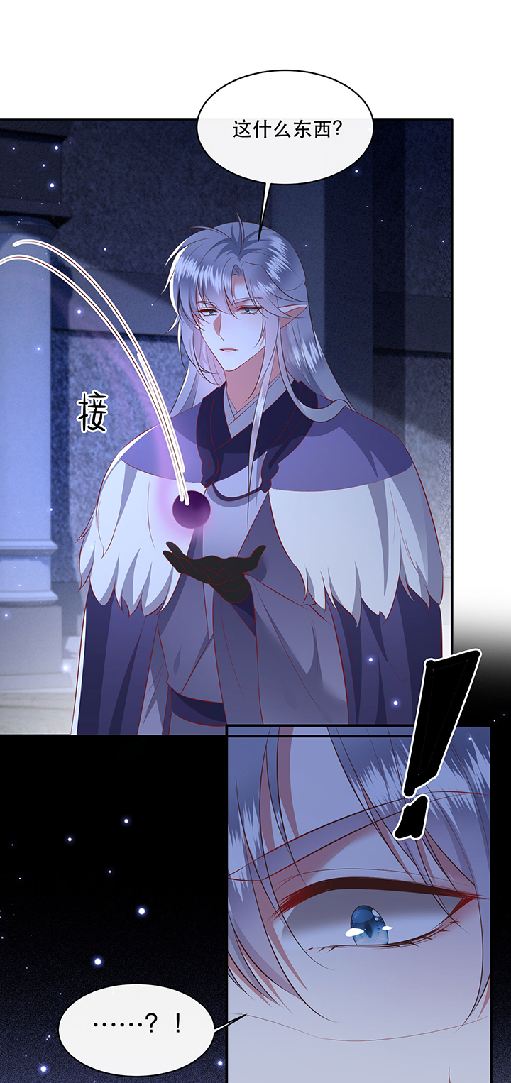 这个王妃有点皮小说漫画,第163章：前往流离之地1图