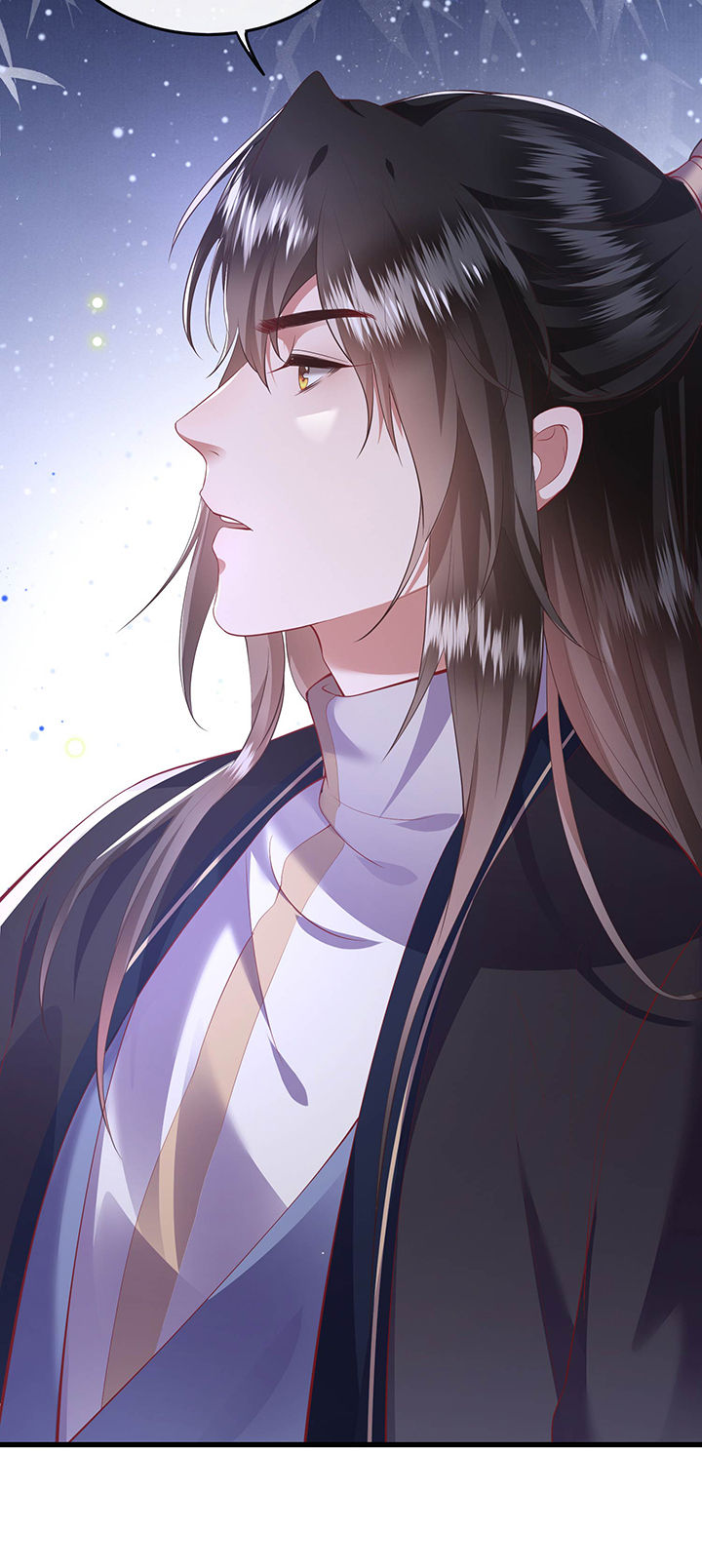 这个王妃有点皮小说漫画,第69章：老娘非北阴不嫁1图