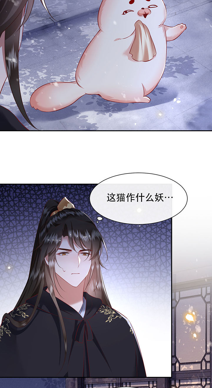 这个王妃有点皮小说漫画,第126章：求个婚告昭六界？！2图