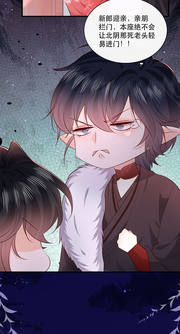 这个王妃有点皮小说漫画,第176章：【番外】婚事顺利结束2图