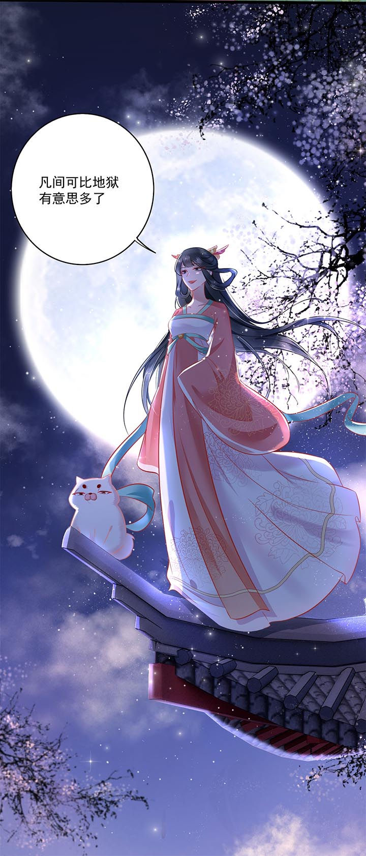 这个王妃有点皮小说漫画,第5章：哪里来的丑八怪2图