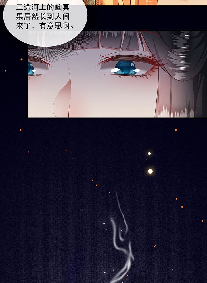 这个王妃有点皮小说漫画,第90章：一人一个，吃完上路！1图