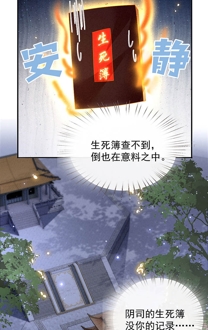 这个王妃有点皮小说漫画,第117章：要不干脆坦白从宽？1图
