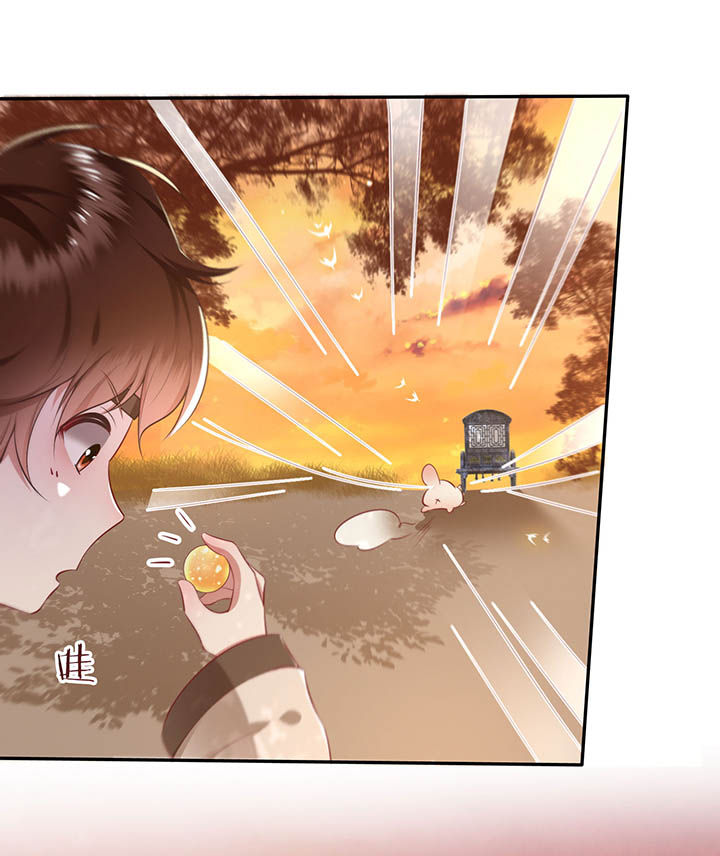 这个王妃有点皮小说漫画,第108章：东宫出事了！1图