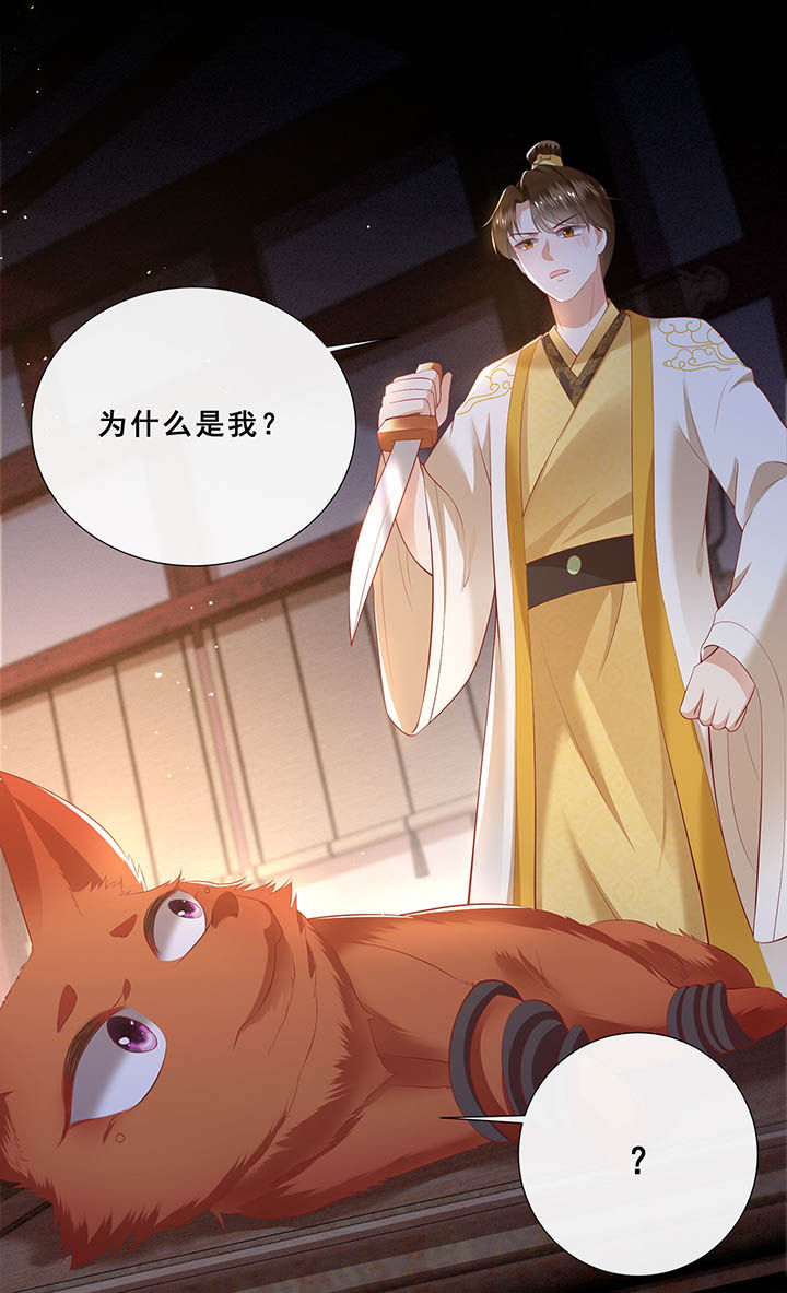 这个王妃有点皮小说漫画,第109章：敢动老娘的人？1图