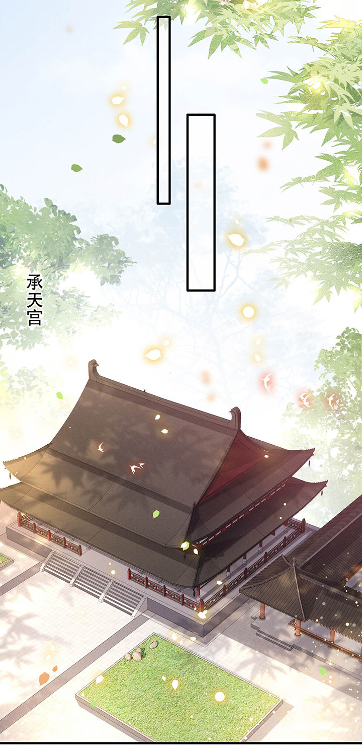 这个王妃有点皮小说漫画,第48章：这桩婚事，你如何考虑？2图