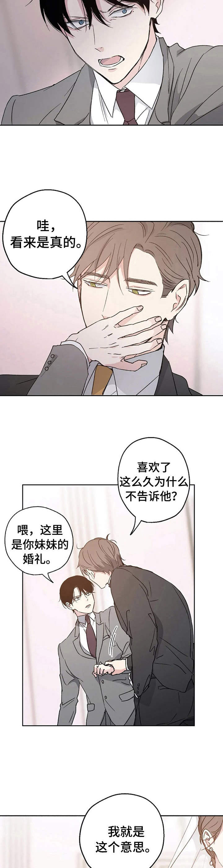 艾青短诗大全漫画,第6章：婚礼2图