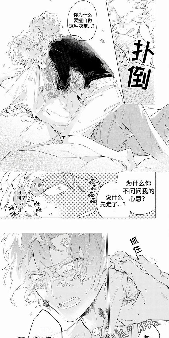 茅花炭的功效和作用漫画,第10章：表白2图