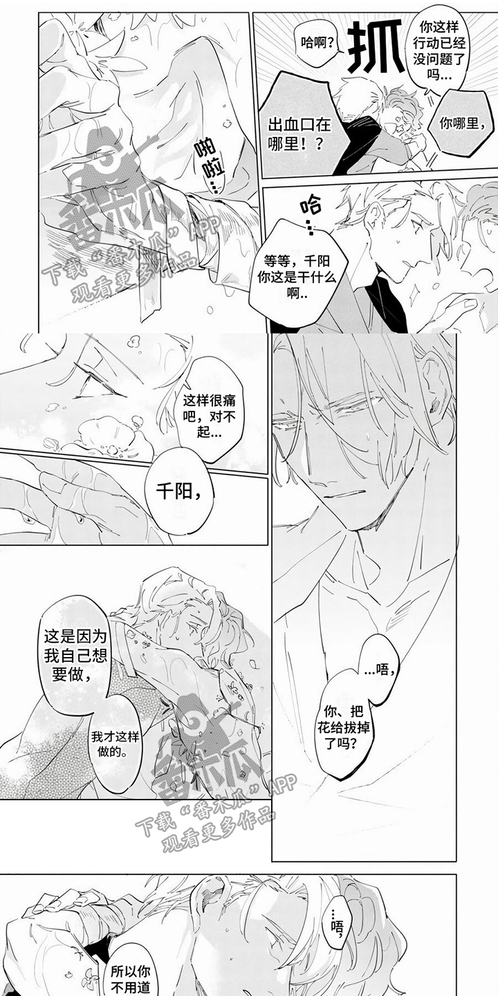 茅花台酒酱香型多少一瓶漫画,第17章：有抗体1图