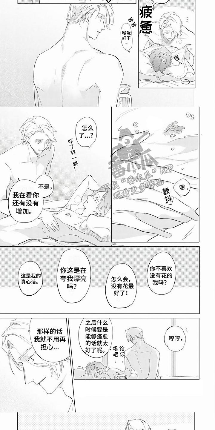 茅花汤功效漫画,第20章：【番外】新的花朵2图