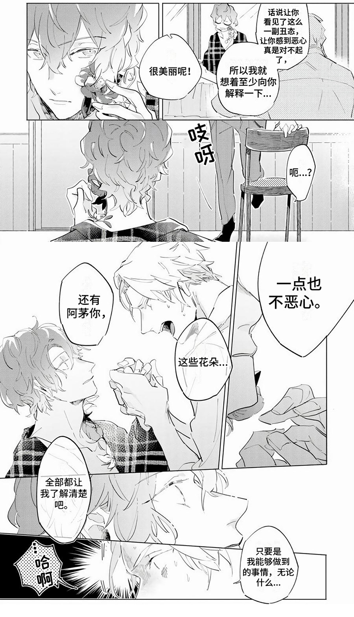 茅华宇简历漫画,第2章：花朵2图