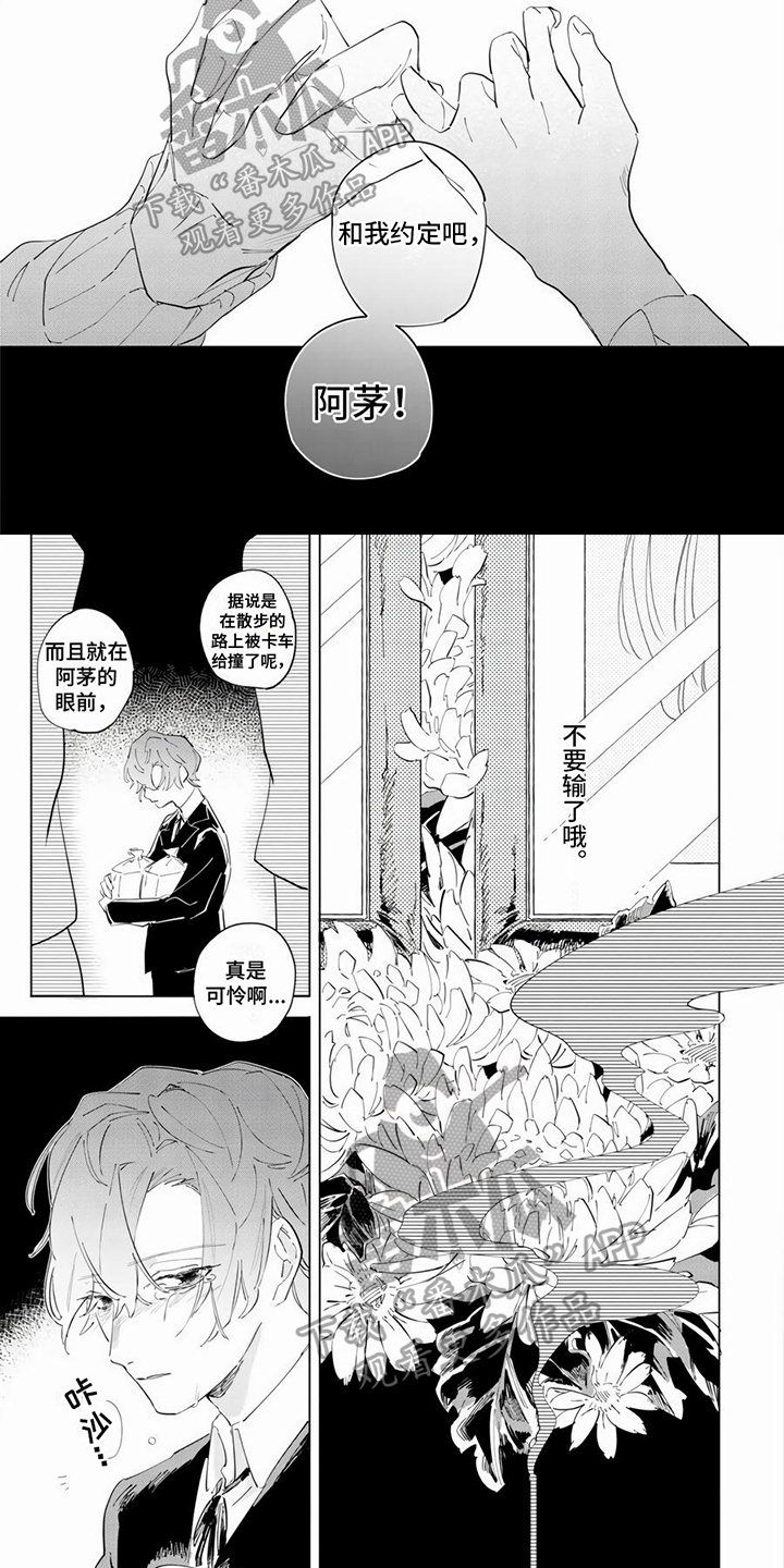 茅花怎么读漫画,第12章：约定2图