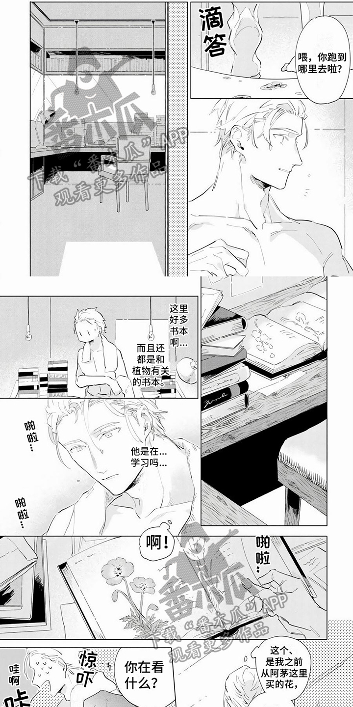 茅花根漫画,第6章：温柔1图