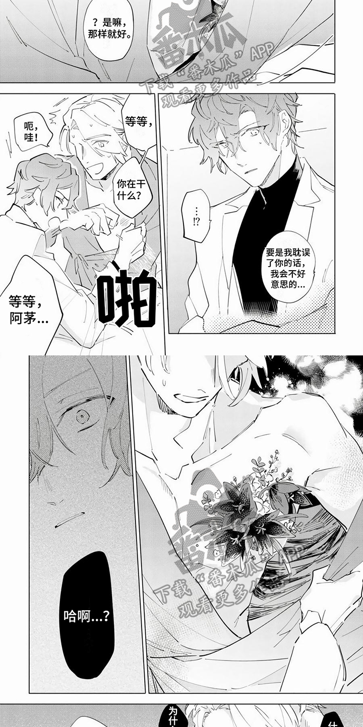 茅花怎么读漫画,第13章：感染1图