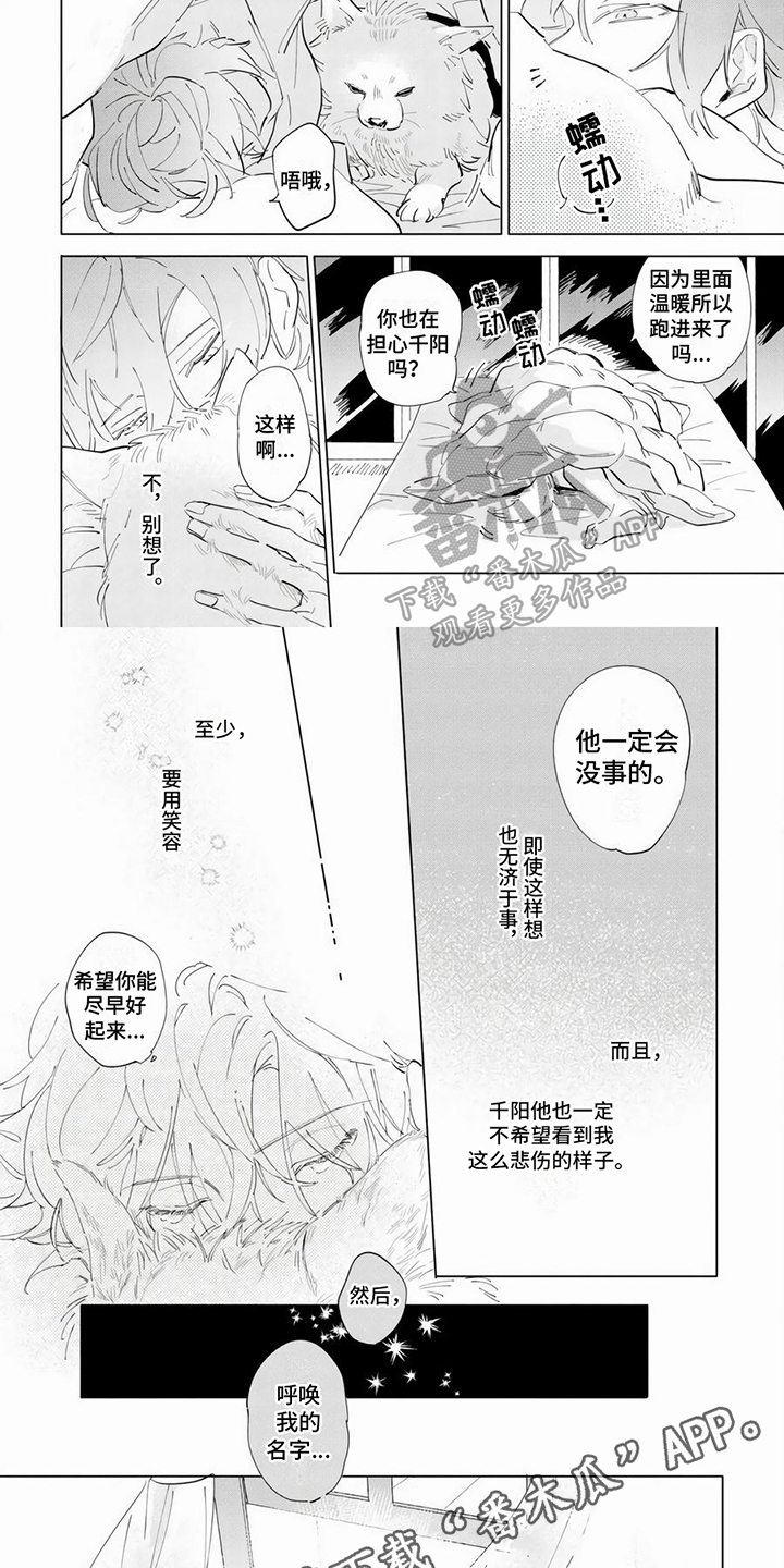 茅花炭的功效和作用漫画,第14章：治疗方案1图