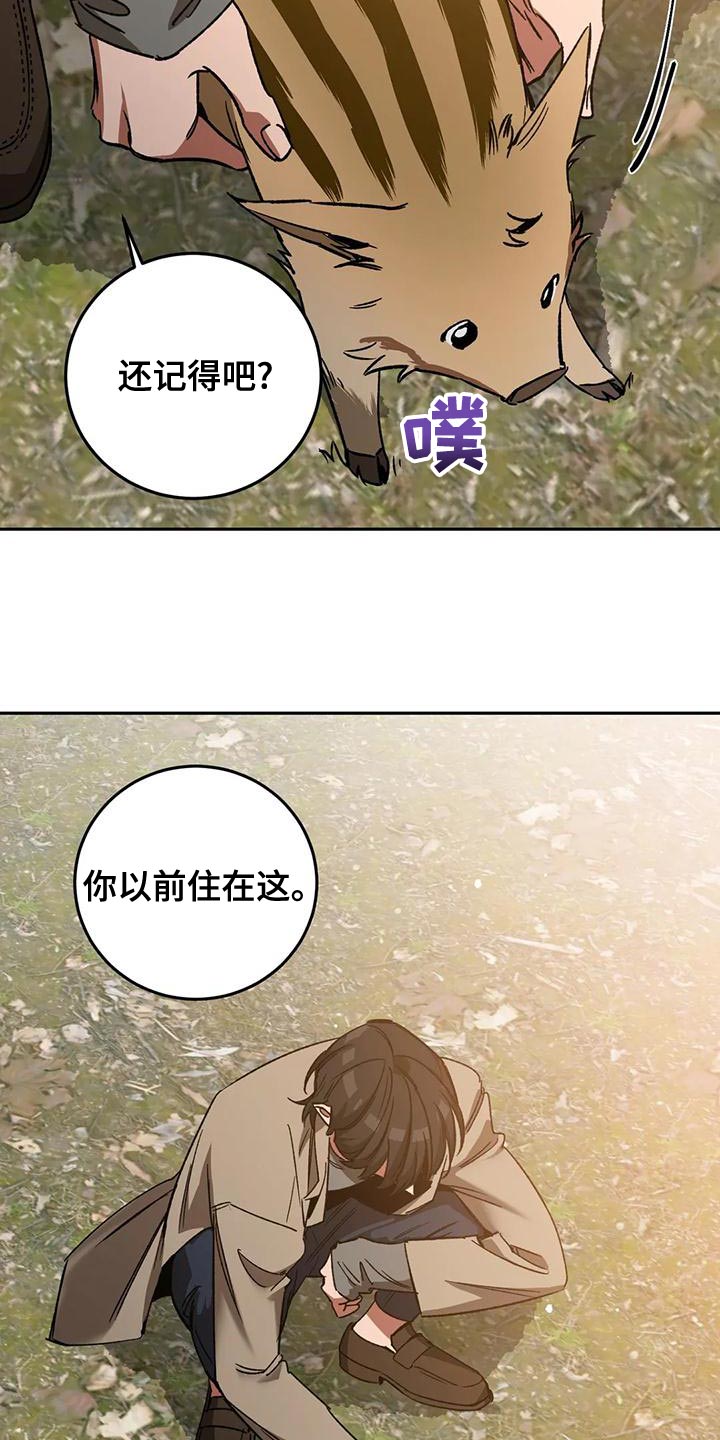 盲人游戏背景音乐漫画,第135章：迷路2图