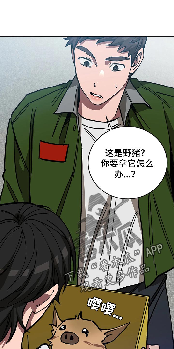 网易盲人游戏漫画,第114章：野猪不是玩具1图