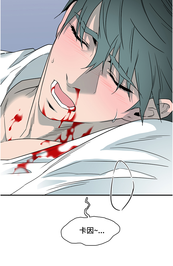 黑夜传说6漫画,第227章：没有守护的理由2图
