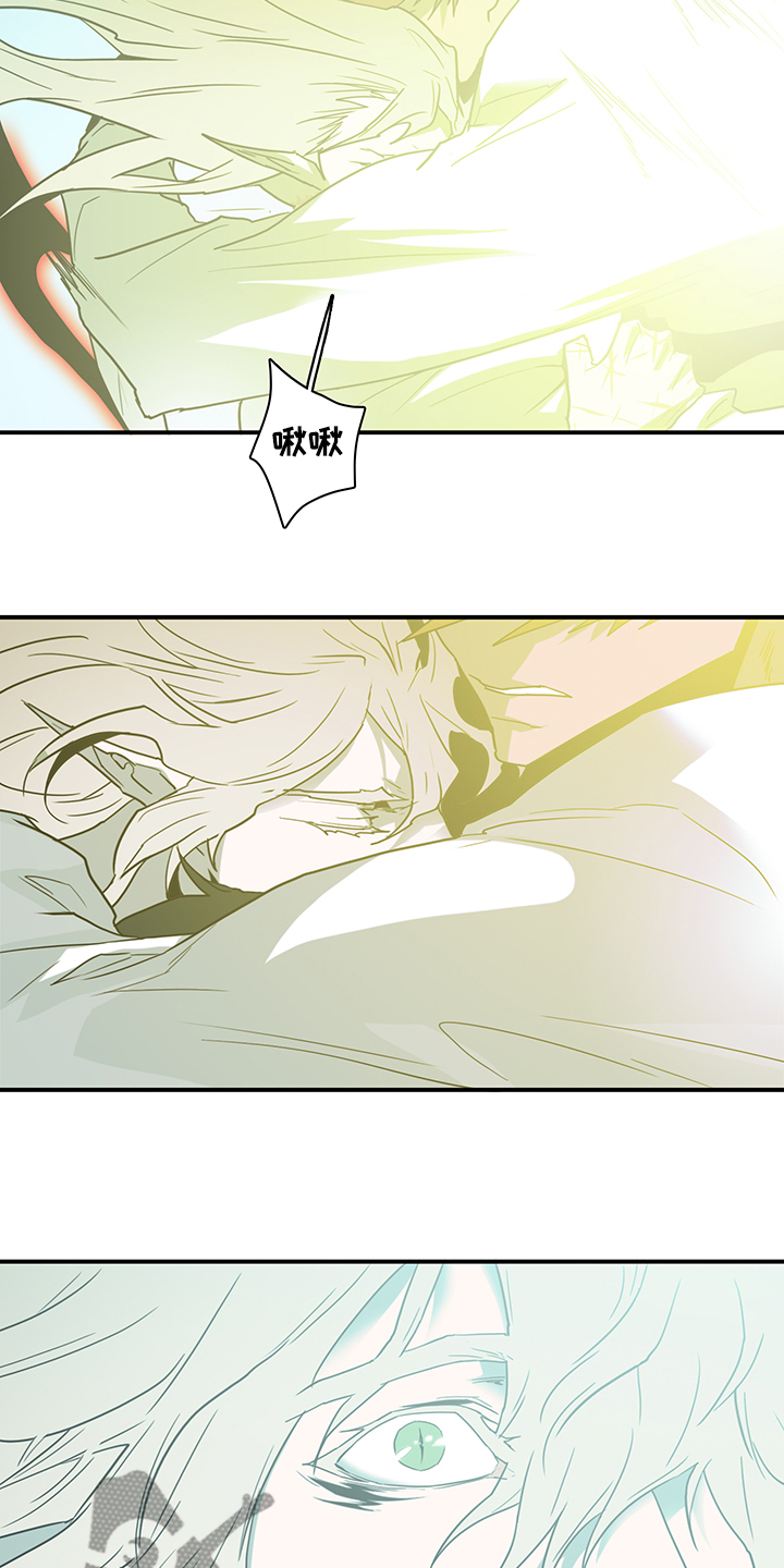 黑夜传说6漫画,第236章：就这一次1图