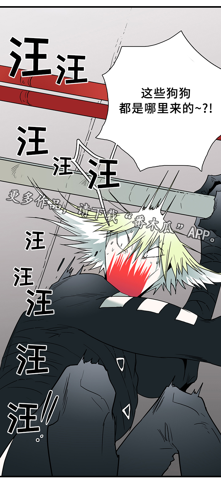 黑夜撒旦漫画,第101章：奇怪的人1图