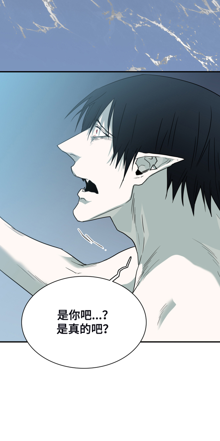 黑夜撒旦漫画,第246章：回归于无1图