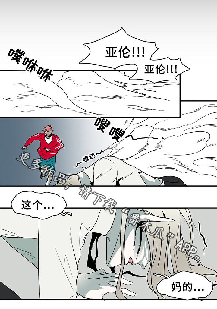 黑夜星空图漫画,第76章：转机1图