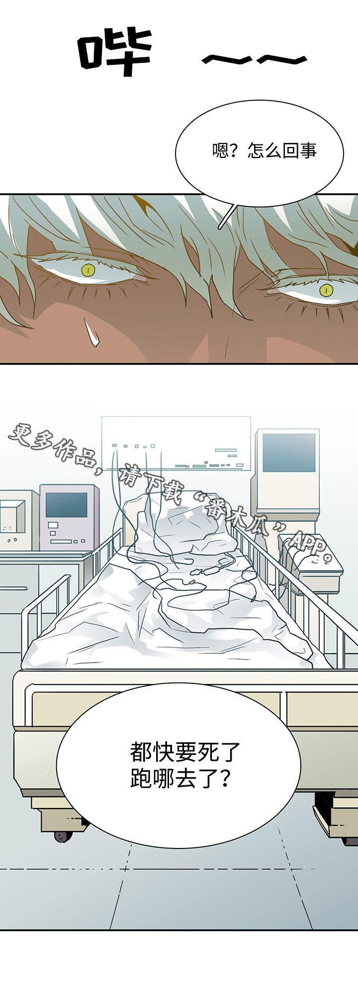 黑夜传说6漫画,第54章：警告1图