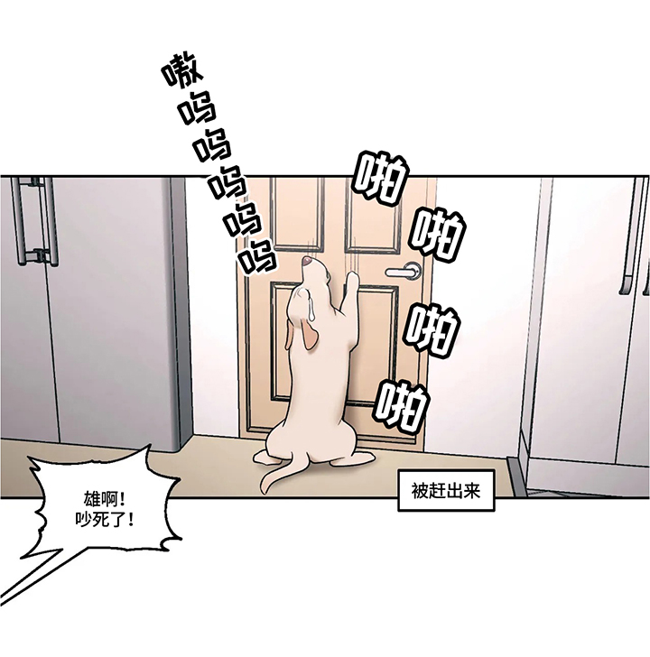 健身房的会员漫画,第56章：陷入沉思2图