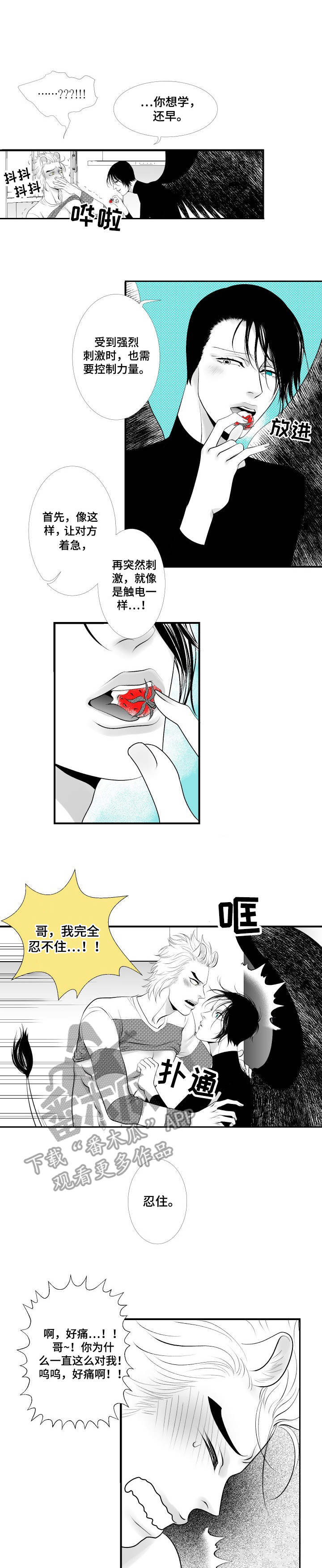 死路寻死动画片中文版漫画,第12章：酒心巧克力1图