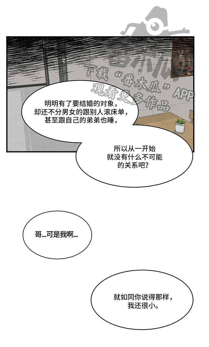 兄弟情义视频全集漫画,第20章：成年人2图